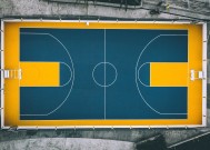 九游下载-西亚卡姆五战封神，双线狂飙下的法国男篮绝境求生
